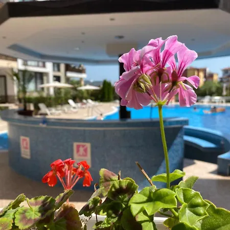 White Rose Aparthotel